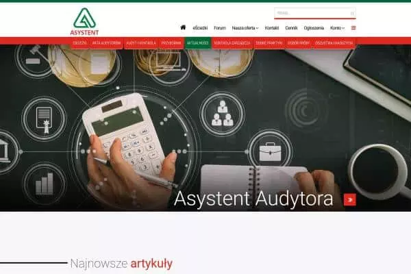 Strona www - audyt